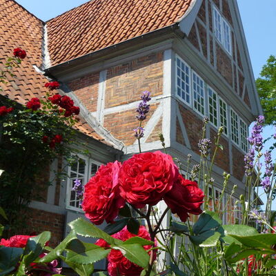 Dies ist en Foto vom Kr&uuml;gerschen Haus in Geesthacht, im dem sich die Tourist-Information und das GeesthachtMuseum befinden, mit Blumen im Vordergrund.