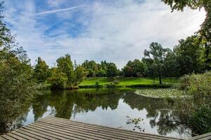Das ist ein Foto vom Teich im Geesthachter Ortsteil Gr&uuml;nhof-Tesperhude.