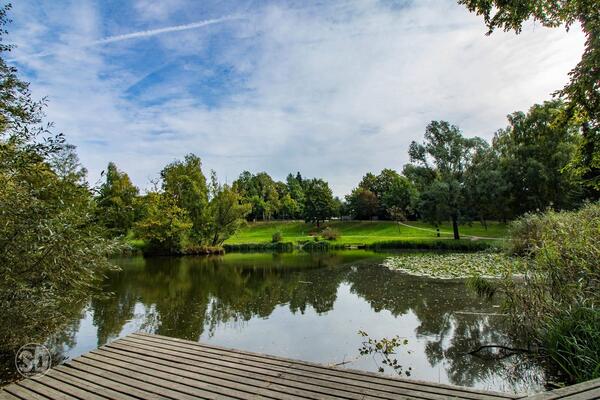 Das ist ein Foto vom Teich im Geesthachter Ortsteil Gr&uuml;nhof-Tesperhude.