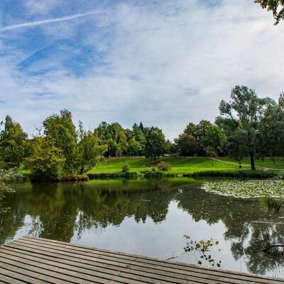 Bild vergr&ouml;&szlig;ern: Das ist ein Foto vom Teich im Geesthachter Ortsteil Gr&uuml;nhof-Tesperhude.