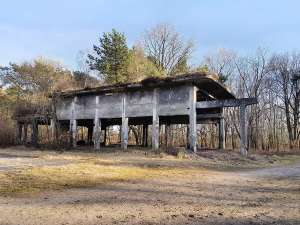 Bild vergr&ouml;&szlig;ern: Die Ruine eines Betongeb&auml;udes der ehemaligen Pulverfabrik D&uuml;neberg in einem lichten Waldst&uuml;ck. Das Geb&auml;ude besteht aus massiven Betonpfeilern, die ein flaches, teilweise mit Moos und Gras bewachsenes Dach tragen. Die W&auml;nde fehlen fast vollst&auml;ndig, sodass man durch das Skelett hindurch in die umliegenden B&auml;ume blickt.