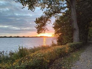 Eine stimmungsvolle Landschaftsaufnahme der Elbe bei Sonnenuntergang. Die Sonne steht tief am Horizont und spiegelt sich als goldener Lichtstreifen auf der Wasseroberfl&auml;che. Im Vordergrund sind herbstliche B&uuml;sche und B&auml;ume am Ufer zu sehen, deren Bl&auml;tter teilweise gelblich gef&auml;rbt sind. Der Himmel ist von einer sanften Wolkendecke &uuml;berzogen, die durch das restliche Tageslicht in Pastellt&ouml;nen leuchtet.
