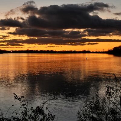 Bild vergr&ouml;&szlig;ern: Abendstimmung an der Elbe: Ein weiter Blick &uuml;ber die Elbe bei Sonnenuntergang. Der Himmel leuchtet in kr&auml;ftigem Orange und Gelb unter einer dunklen, dramatischen Wolkendecke, die sich im ruhigen Wasser spiegelt. Am Horizont sind schemenhaft B&auml;ume und Windr&auml;der zu erkennen.