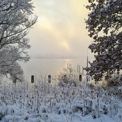 Bild vergr&ouml;&szlig;ern: Symbolbild zum Winter - Schneelandschaft mit B&auml;umen und Fluss Elbe, die die winterliche Atmosph&auml;re symbolisieren.