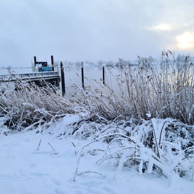 Bild vergr&ouml;&szlig;ern: Eine verschneite Uferlandschaft an einem Fluss bei tr&uuml;bem Tageslicht. Im Vordergrund sind Gr&auml;ser und Schilf von einer dicken Schneeschicht bedeckt. Im Hintergrund f&uuml;hrt ein kleiner Steg oder Anleger ins Wasser, und die gegen&uuml;berliegende Uferseite ist im winterlichen Dunst nur schemenhaft erkennbar.