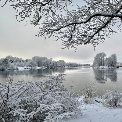 Bild vergr&ouml;&szlig;ern: Verschneite B&auml;ume und Str&auml;ucher s&auml;umen das Ufer einer ruhigen Wasserfl&auml;che auf der Schleuseninsel. Die &Auml;ste im Vordergrund sind dicht mit Schnee bedeckt. Im Hintergrund erstreckt sich eine winterliche Landschaft mit weiteren schneebedeckten B&auml;umen und einer leicht bew&ouml;lkten, grauen Himmelsdecke. Die Szene vermittelt eine ruhige, kalte Winterstimmung.