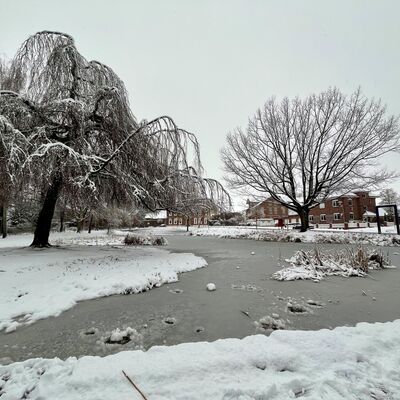 Bild vergr&ouml;&szlig;ern: Verschneite Parklandschaft mit zugefrorenem Teich im Vordergrund. Zwei gro&szlig;e, blattlose B&auml;ume stehen am Rand des Teichs, ihre &Auml;ste sind mit Schnee bedeckt. Im Hintergrund sind mehrere Geb&auml;ude mit roten Ziegeln und wei&szlig;en Fenstern zu sehen. Der Himmel ist grau und wolkenverhangen. Die Szene vermittelt eine ruhige Winterstimmung.