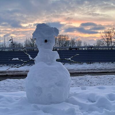Bild vergr&ouml;&szlig;ern: Schneemann mit Astarmen steht auf verschneitem Boden vor einem Hausdach und bew&ouml;lktem Himmel bei Sonnenuntergang