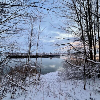 Bild vergr&ouml;&szlig;ern: Verschneite Uferlandschaft mit kahlen B&auml;umen und einem Frachtschiff auf ruhigem Fluss im Winter