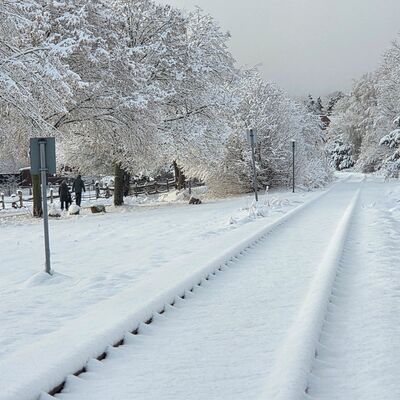 Bild vergr&ouml;&szlig;ern: Schneebedeckte Bahngleise in einer winterlichen Landschaft mit schneebedeckten B&auml;umen und zwei Personen im Hintergrund