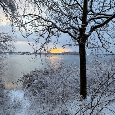 Bild vergr&ouml;&szlig;ern: Verschneite Uferlandschaft an einem Fluss mit kahlem Baum im Vordergrund und Sonnenuntergang am Horizont