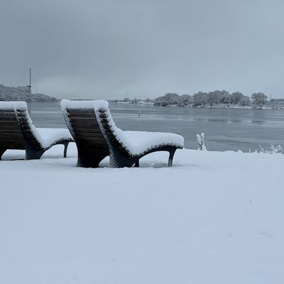Bild vergr&ouml;&szlig;ern: Symbolbild f&uuml;r Winter - Zwei schneebedeckte Sitzb&auml;nke vor der zugefrorenen Elbe mit kahlen B&auml;umen im Hintergrund