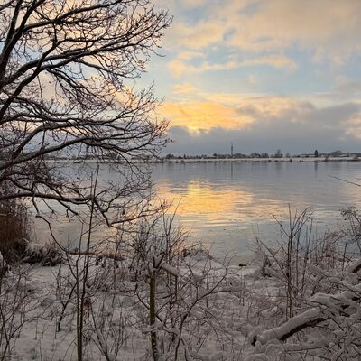 Bild vergr&ouml;&szlig;ern: Eine verschneite Elbe umgeben von B&auml;umen, der die winterliche Landschaft widerspiegelt.