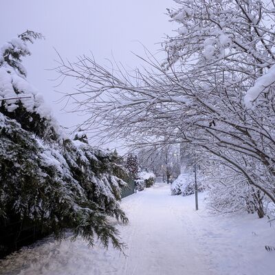 Bild vergr&ouml;&szlig;ern: Ein verschneiter Weg in einem Wohngebiet, der die winterliche Landschaft symbolisiert.