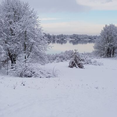 Bild vergr&ouml;&szlig;ern: Verschneite Wiese umgeben von B&auml;umen, mit der Elbe im Hintergrund, typisch f&uuml;r den Winter.
