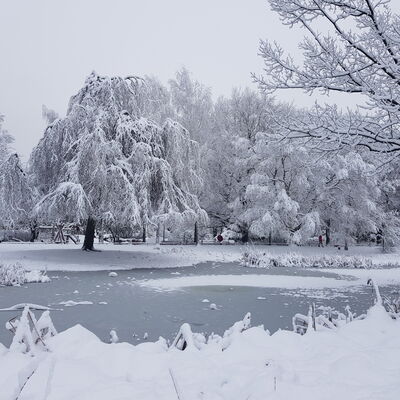 Bild vergr&ouml;&szlig;ern: Ein verschneiter Teich umgeben von schneebedeckten B&auml;umen, symbolisch f&uuml;r den Winter.