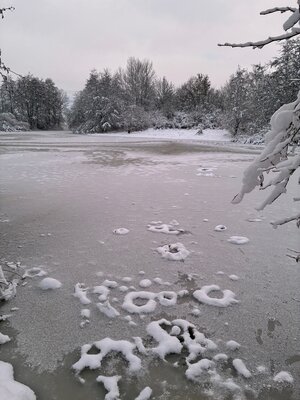 Bild vergr&ouml;&szlig;ern: Symbolbild zum Winter - Vereister Hafen mit schneebedeckten &Auml;sten am rechten Bildrand und Eisfl&auml;chen mit Schneeresten