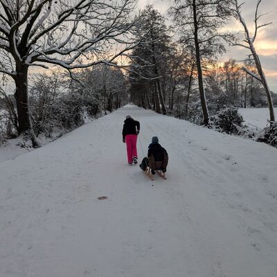 Bild vergr&ouml;&szlig;ern: Symbolbild zum Winter - Zwei Personen auf einem schneebedeckten Weg, eine zieht einen Schlitten mit der anderen Person sitzend darauf, umgeben von schneebedeckten B&auml;umen und einem bew&ouml;lkten Himmel im Hintergrund