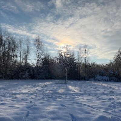 Bild vergr&ouml;&szlig;ern: Symbolbild zum Thema Winter - Schneefeld mit Sonnenstrahlen, die durch die Wolken scheinen