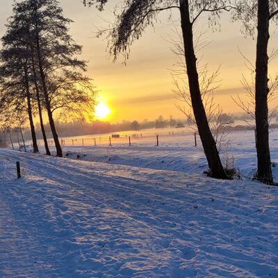 Bild vergr&ouml;&szlig;ern: Eine verschneite Stra&szlig;e umgeben von B&auml;umen, w&auml;hrend die Sonne am Horizont untergeht, Symbolbild f&uuml;r den Winter.