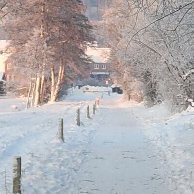 Bild vergr&ouml;&szlig;ern: Schneebedeckter Weg in der Winterlandschaft, symbolisch f&uuml;r das Thema Winter.