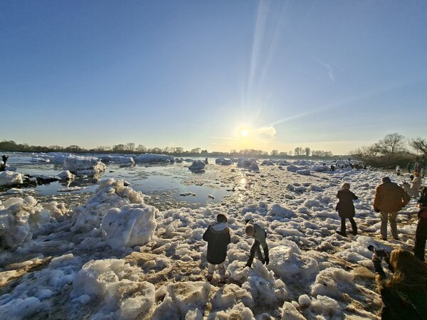 Eisberge und Eisschollen am Geesthachter Elbwehr mit mehreren Personen am Ufer bei klarem Himmel