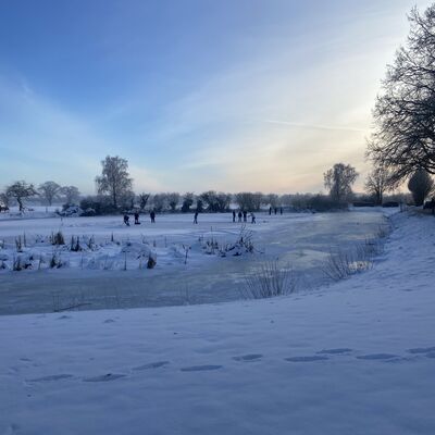 Bild vergr&ouml;&szlig;ern: Schneebedeckte Landschaft mit Sonnenschein hinter den B&auml;umen, der den Himmel in warmen Farben erleuchtet.