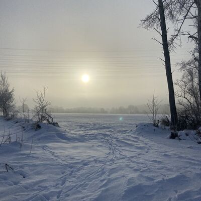 Bild vergr&ouml;&szlig;ern: Schneebedeckte Landschaft mit einem Sonnenuntergang hinter den B&auml;umen, der den Himmel in warmen Farben erleuchtet.