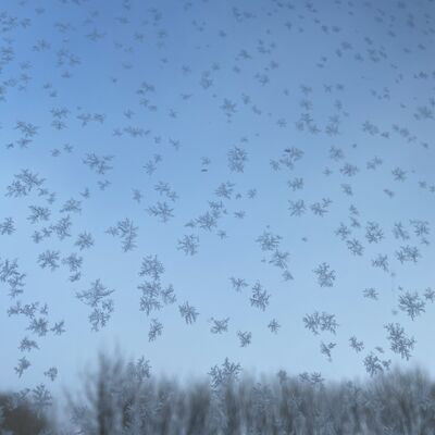 Bild vergr&ouml;&szlig;ern: Schneebedeckte Landschaft mit Sonnenschein hinter den B&auml;umen, der den Himmel in warmen Farben erleuchtet.