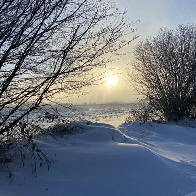 Bild vergr&ouml;&szlig;ern: Schneebedeckte Landschaft mit einem Sonnenuntergang hinter den B&auml;umen, der den Himmel in warmen Farben erleuchtet.