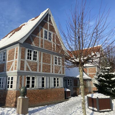 Bild vergr&ouml;&szlig;ern: Schneebedeckte Landschaft mit verschneitem Haus im Hintergrund.
