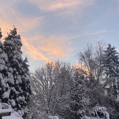 Bild vergr&ouml;&szlig;ern: Schneebedeckte Landschaft mit einem Sonnenuntergang hinter den B&auml;umen, der den Himmel in warmen Farben erleuchtet.