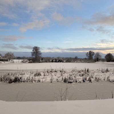 Bild vergr&ouml;&szlig;ern: Schneebedeckte Landschaft mit einem Sonnenuntergang hinter den B&auml;umen, der den Himmel in warmen Farben erleuchtet.