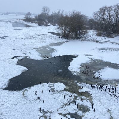 Bild vergr&ouml;&szlig;ern: Ein Fluss mit Schnee am Ufer und V&ouml;geln, die dar&uuml;ber fliegen, unter einem klaren Himmel.