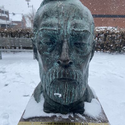 Bild vergr&ouml;&szlig;ern: Eine Nahaufnahme einer bronzenen B&uuml;ste von Alfred Nobel, die mit einer leichten Schneeschicht bedeckt ist. Die Statue zeigt den Kopf und die Schultern eines b&auml;rtigen Mannes mit ernstem Gesichtsausdruck. Auf dem Steinsockel befindet sich eine goldene Plakette mit der Aufschrift: &raquo;Alfred Nobel 1833 - 1896, Stifter der Nobelpreise - Gr&uuml;nder der Dynamitfabrik Kr&uuml;mmel, Erfinder des Dynamits 1866 in Geesthacht&laquo;.