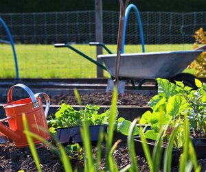 Bild vergr&ouml;&szlig;ern: Nahaufnahme eines sonnigen Kleingartens mit frisch bepflanzten Beeten. Im Vordergrund stehen eine orangefarbene Gie&szlig;kanne und junge Setzlinge in schwarzen Kunststoffschalen. Im unscharfen Hintergrund sind eine Schubkarre, eine Schaufel und ein Maschendrahtzaun zu erkennen.