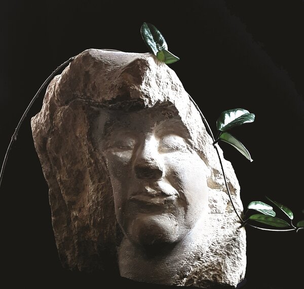 Eine Nahaufnahme einer hellen Steinskulptur, die ein menschliches Gesicht darstellt. Das Gesicht ist nur teilweise aus dem grob gehauenen, massiven Steinblock ausgearbeitet, wodurch es wirkt, als w&uuml;rde es mit dem Material verschmelzen. Die Augen der Skulptur sind geschlossen, der Gesichtsausdruck wirkt ruhig und meditativ.
Besonderes Detail: Eine echte Pflanze mit gr&uuml;nen, gl&auml;nzenden Bl&auml;ttern rankt sich um den Stein. Ein Zweig verl&auml;uft bogenf&ouml;rmig &uuml;ber den &raquo;Kopf&laquo; der Skulptur, w&auml;hrend einzelne Bl&auml;tter direkt aus den Spalten des Steins zu wachsen scheinen. Der Hintergrund ist komplett schwarz, wodurch die Skulptur durch eine seitliche Lichtquelle stark kontrastiert und plastisch hervorgehoben wird.