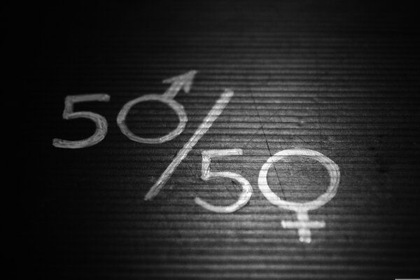 Bild vergr&ouml;&szlig;ern: Gleichstellung