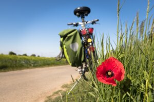 Eine sommerliche Au&szlig;enaufnahme an einem l&auml;ndlichen Asphaltweg unter strahlend blauem Himmel. Im rechten, scharfen Vordergrund bl&uuml;ht eine leuchtend rote Mohnblume inmitten von hohen, gr&uuml;nen Gr&auml;sern am Wegesrand. Dahinter steht, leicht in der Unsch&auml;rfe, ein geparktes Tourenfahrrad auf seinem St&auml;nder, fotografiert aus einer niedrigen Perspektive von hinten. Am Gep&auml;cktr&auml;ger des Fahrrads ist eine gro&szlig;e, olivgr&uuml;ne Fahrradtasche befestigt. Im linken Hintergrund erstreckt sich ein weites, gr&uuml;nes Feld.
