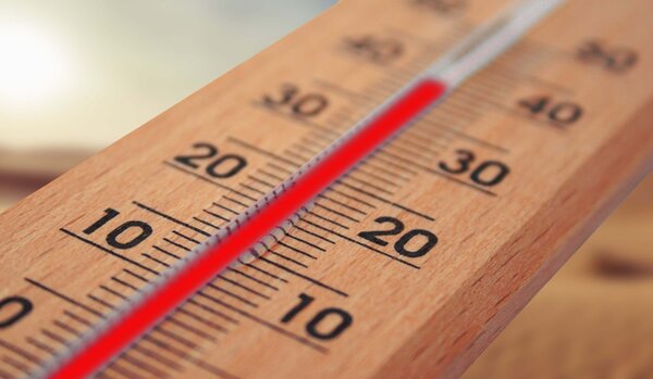 Nahaufnahme von einem Thermometer aus Holz. Die rote Fl&uuml;ssigkeit zeigt eine hohe Temperatur von ungef&auml;hr 37 Grad Celsius an.