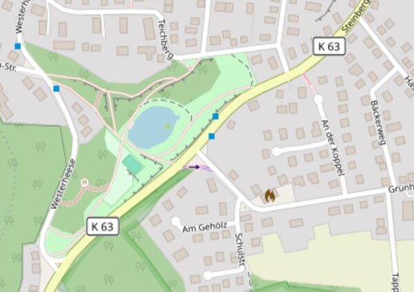Ein Kartenausschnitt zeigt ein Wohngebiet. Eine gelbe Hauptstra&szlig;e mit der Bezeichnung K 63 verl&auml;uft diagonal durch das Bild. Links davon befinden sich eine gr&uuml;ne Parkanlage und ein kleiner blauer Teich. Ringsum stehen viele Wohnh&auml;user.