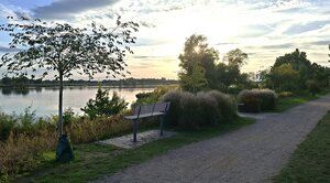 Baumelb&auml;nke