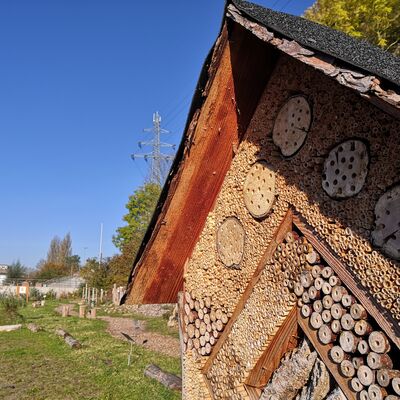 Bild vergr&ouml;&szlig;ern: Das ist ein Foto mit einem Beispiel f&uuml;r die Nutzung von Insektenhotels im Garten anhand eines Beispielbeetes am Geesthachter Hafen als Teil des Projektes "Geesthacht summmt" am Wildbienenpfad.