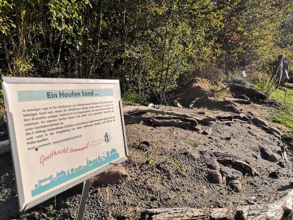 Bild vergr&ouml;&szlig;ern: Das ist ein Foto auf dem ein Beispiel f&uuml;r die Nutzung von Sand im Garten anhand eines Beispielbeetes am Geesthachter Hafen als Teil des Projektes "Geesthacht summmt" am Wildbienenpfad zeigt.