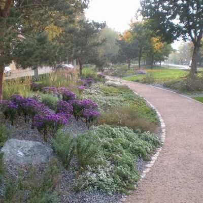 Bild vergr&ouml;&szlig;ern: Das ist ein Foto vom Gr&uuml;nstreifen an der Stra&szlig;e F&auml;hrstieg.