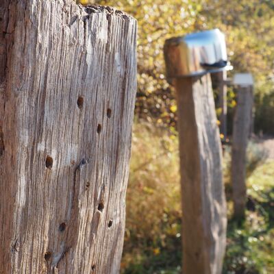 Bild vergr&ouml;&szlig;ern: Das ist ein Foto auf dem ein Beispiel f&uuml;r die Nutzung von Totholz im Garten anhand eines Beispielbeetes am Geesthachter Hafen als Teil des Projektes "Geesthacht summmt" am Wildbienenpfad zeigt.
